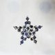 Star - Brooch Corvus - 1